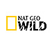 nat-geo-wild